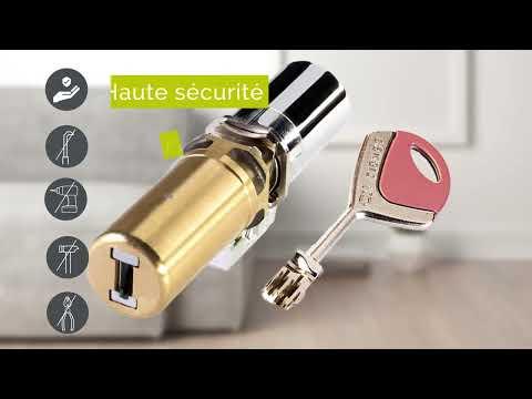 Serrure connectée Linus® et Cylindre 787